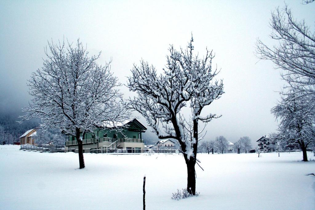 Agriturismo Florandonole Fai della Paganella Luaran gambar